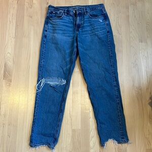 AE X The Jeans Redesign ripped 90s straight leg jeans (size 6)